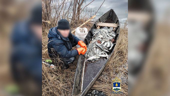 Браконьера с 70 кг омуля поймали в Бурятии Браконьера с 70 кг омуля поймали в Бурятии