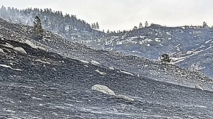  Лесной пожар потушили в районе Бурятии