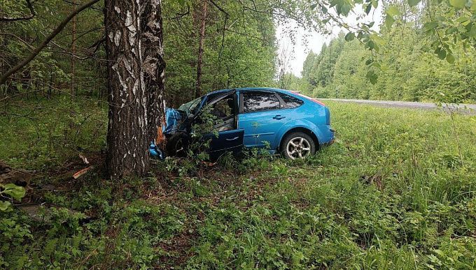 Девушка разбилась насмерть, врезавшись в дерево в Бурятии