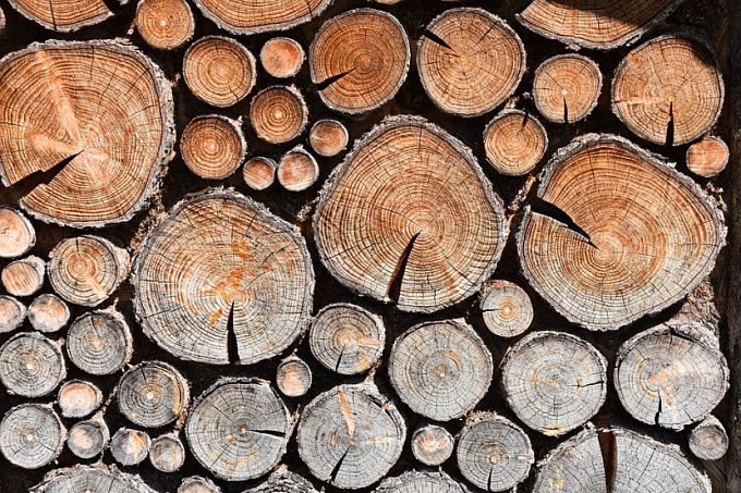 В Бурятии лесозаготовителя оштрафовали на 400 тысяч