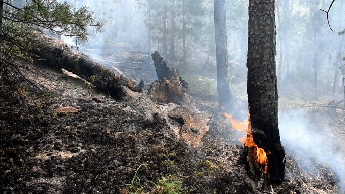 В Бурятии за сутки вспыхнуло четыре лесных пожара