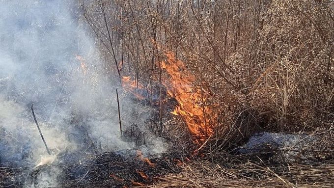 За выходные в Бурятии выгорело более 200 гектаров земли