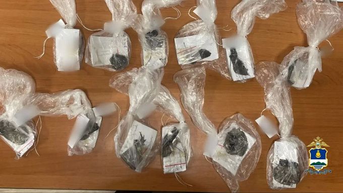 14 уголовных дел: в Улан-Удэ задержали одного из членов банды наркоторговцев