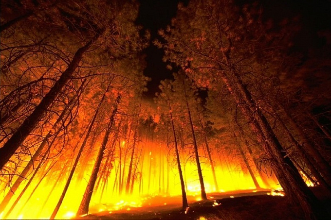 Лесной пожар подошел вплотную к селу в Бурятии