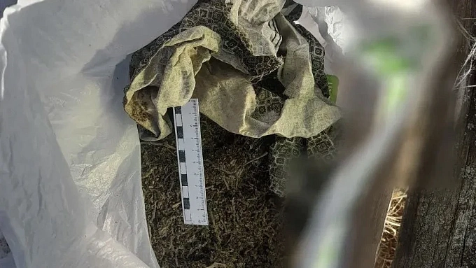 Крупную партию наркотиков нашла полиция на ферме в Бурятии