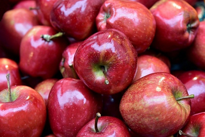 В Улан-Удэ с прилавков изъяли 130 кг запрещенных яблок
