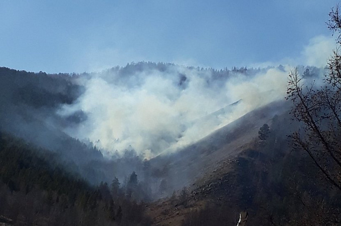 В Бурятии за сутки сгорело более 100 гектаров леса