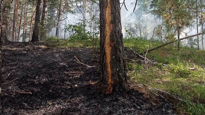 В трех районах Бурятии разгорелись лесные пожары