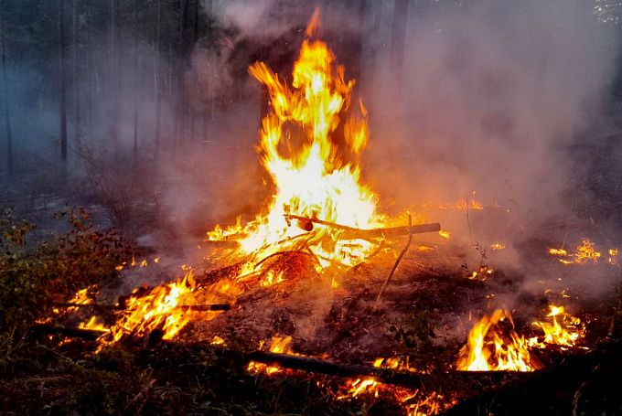 В Бурятии лесных пожаров стало вдвое больше. И каждый третий - по вине человека