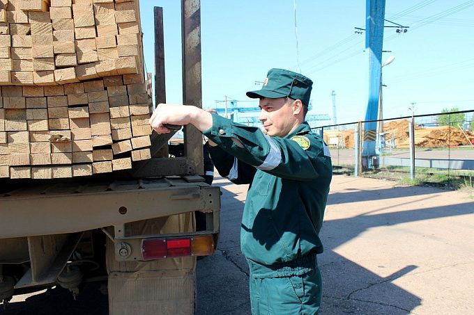 В Бурятии контрабандисты заплатят более 37 млн за незаконный вывоз леса