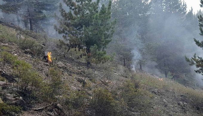 В Бурятии тушили лесной пожар, возникший по вине человека