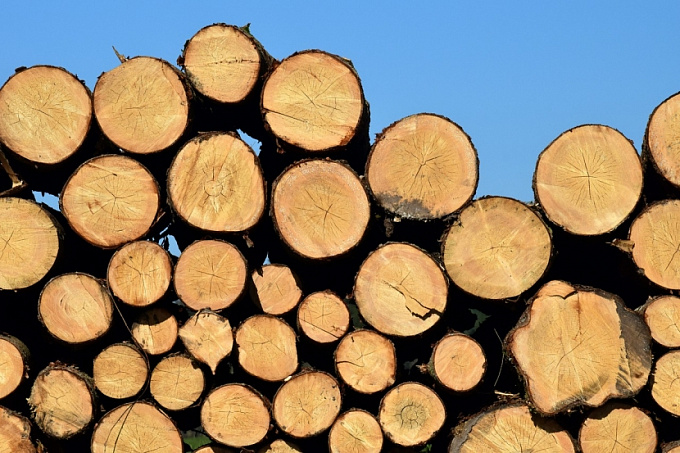 Из Бурятии в прошлом году вывезли 1,32 млн кубометров леса