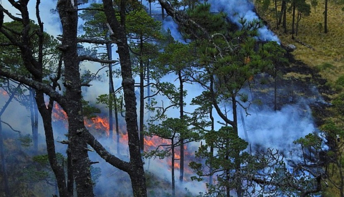 В Бурятии тушили пожар на 20 гектарах