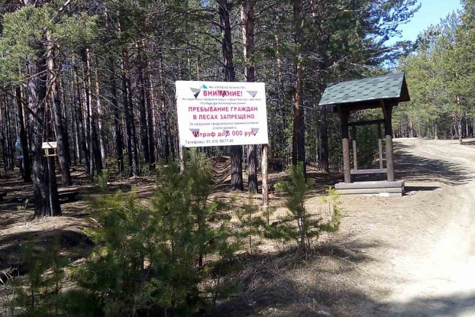 В Улан-Удэ продлили запрет на въезд в городские леса