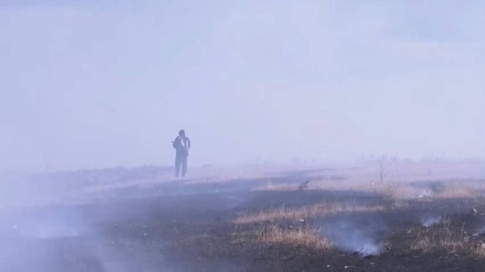 Житель Забайкалья не потушил окурок и спалил 500 квадратов травы