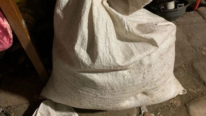 Гроза наркоманов: Гертруда снова учуяла запрещенные вещества у двух жителей Бурятии