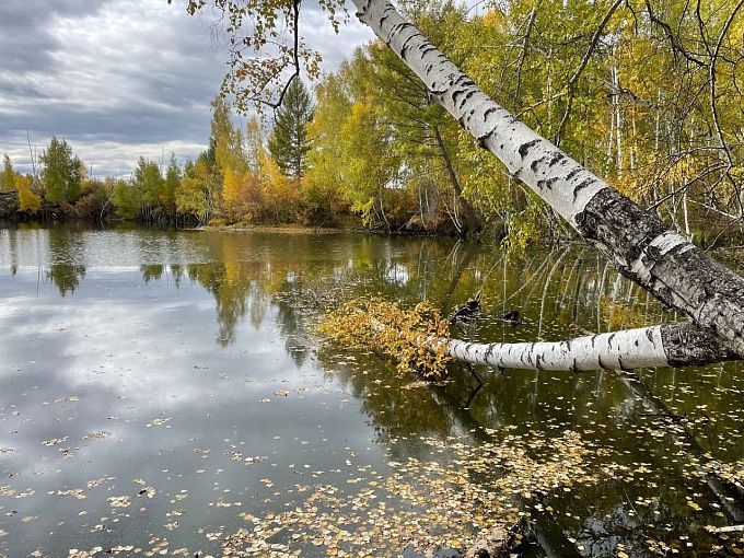 В Бурятии сохранится по-осеннему пасмурная погода 