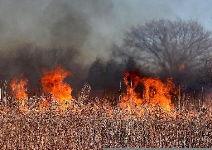 В Бурятии подростки устроили крупный пожар и едва не сожгли село