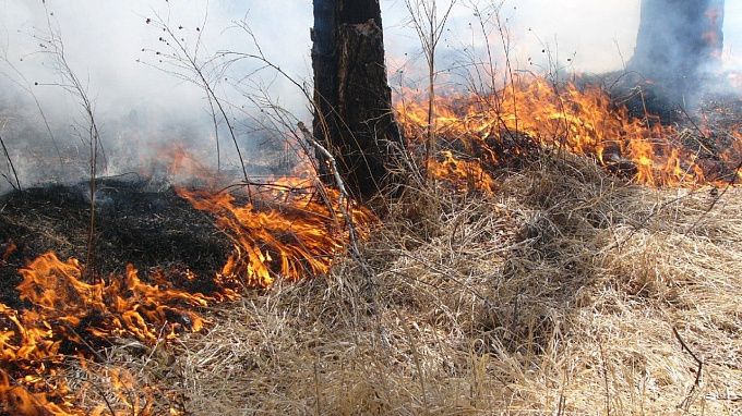 В Бурятии произошел первый лесной пожар