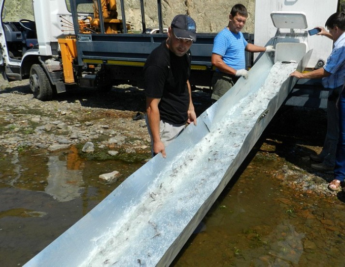 Рудник Ирокинда завершил 6-летнюю программу восстановления водных биоресурсов Байкала