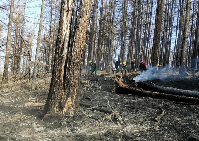 Крупный пожар в 200 гектаров произошел в Бурятии. Его не могут усмирить больше суток
