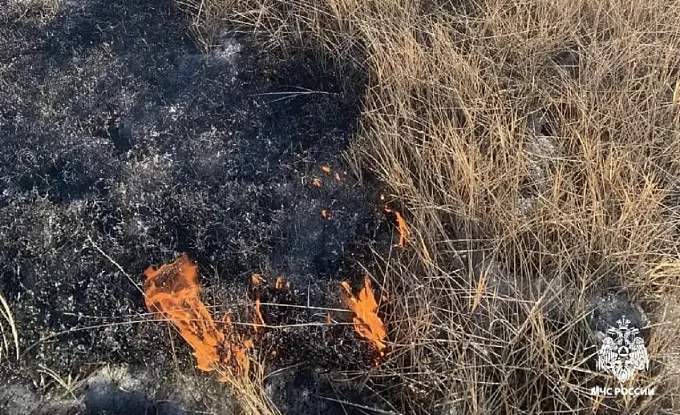 Первый в этом сезоне пал травы зафиксировали в Улан-Удэ