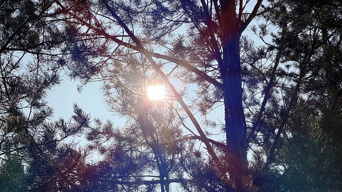 В Бурятии местами потеплеет до +5 градусов