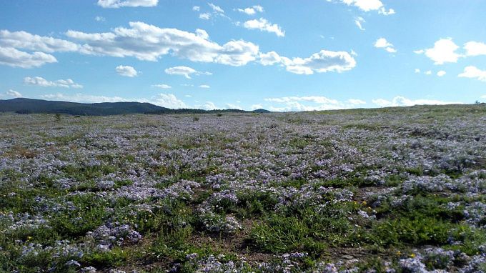 Местами в Бурятии пройдут кратковременные дожди