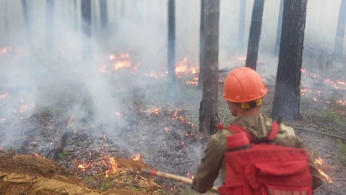 Более 200 человек борются с восемью лесными пожарами в Бурятии