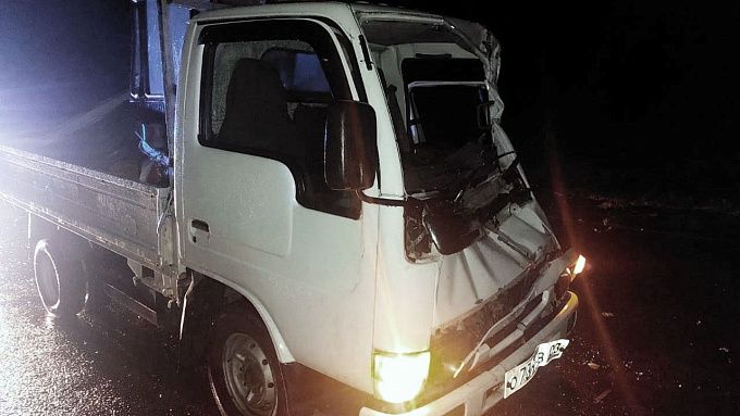 Водитель грузовика сбил лошадь в районе Бурятии. Машину смяло