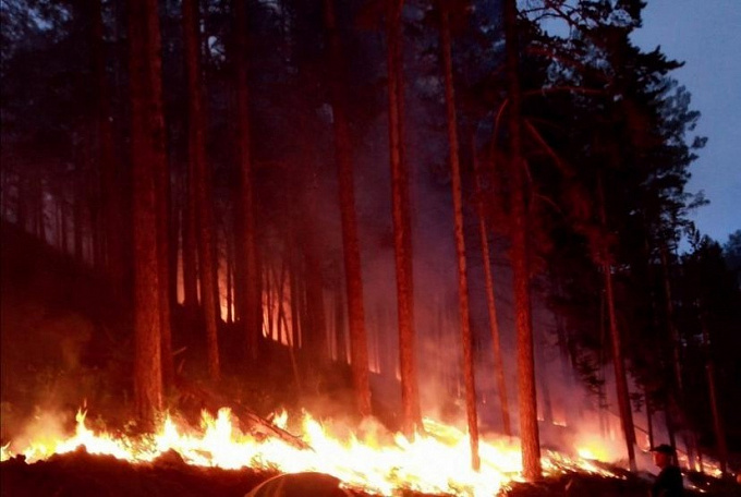 В Бурятии ликвидировали два сложных лесных пожара