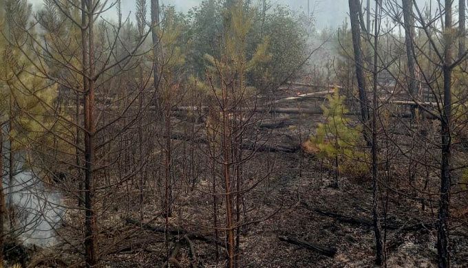 В Бурятии тушили крупный пожар, перекинувшийся на лес