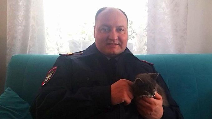 В Улан-Удэ спасенную железнодорожниками кошку назвали Найдёной