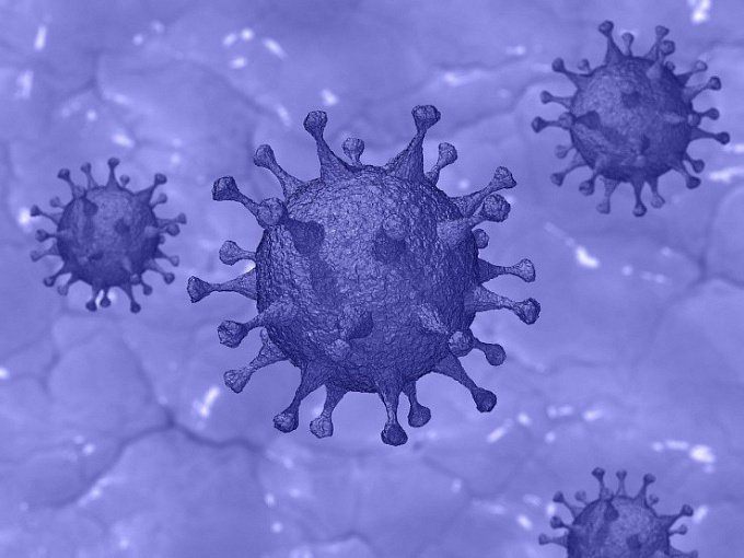 В Бурятии уже 1143 случая заражения коронавирусом