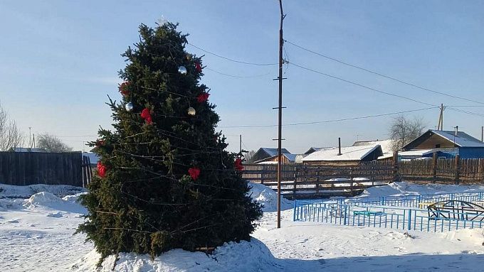 «Кладбищенская» елочка стала причиной раздора в селе Бурятии