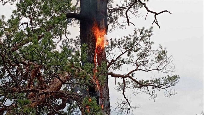 Почти 450 человек тушат лесные пожары в Бурятии
