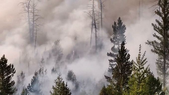 Десятки жителей Забайкалья получили штрафы за посещение лесов 