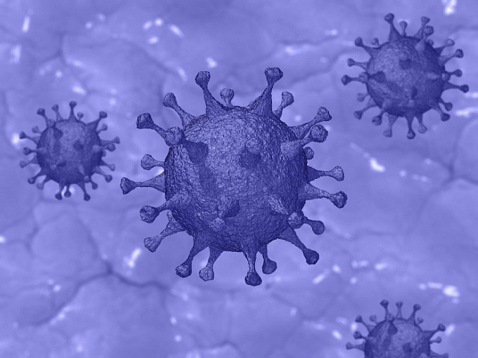 В Бурятии за сутки выявили 231 случай заражения коронавирусом