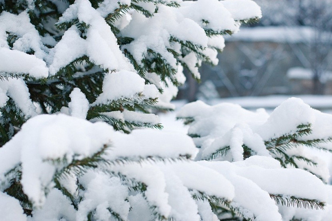Синоптики прогнозируют снежный ноябрь на севере Бурятии