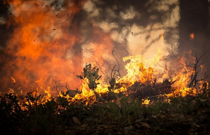 В Бурятии тушат два лесных пожара