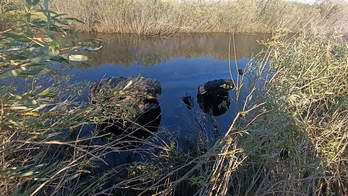 В Бурятии трактор слетел в реку: водитель не смог выбраться