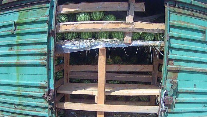 В Бурятию завезли 220 тонн арбузов из Казахстана и Узбекистана
