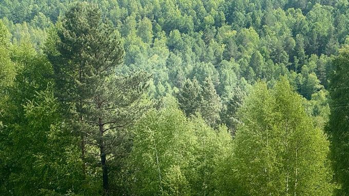 Лесопожарная обстановка в Бурятии остаётся стабильной