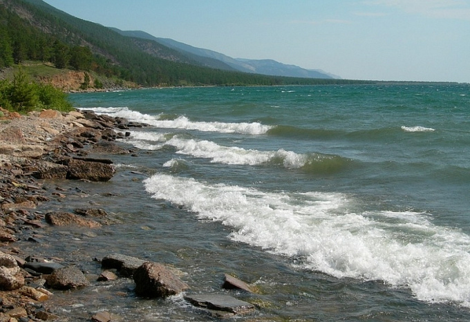 Количество опасных водорослей на Байкале достигло катастрофических масштабов