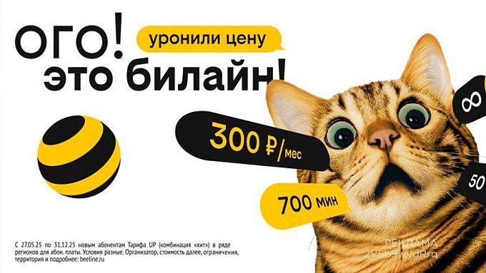 Билайн снизил цены для жителей Улан-Удэ при новом подключении