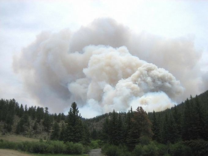 Бурятия получит еще 181 млн рублей на борьбу с лесными пожарами