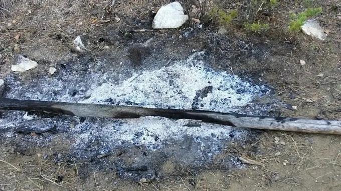 315 гектаров тайги горит в Бурятии