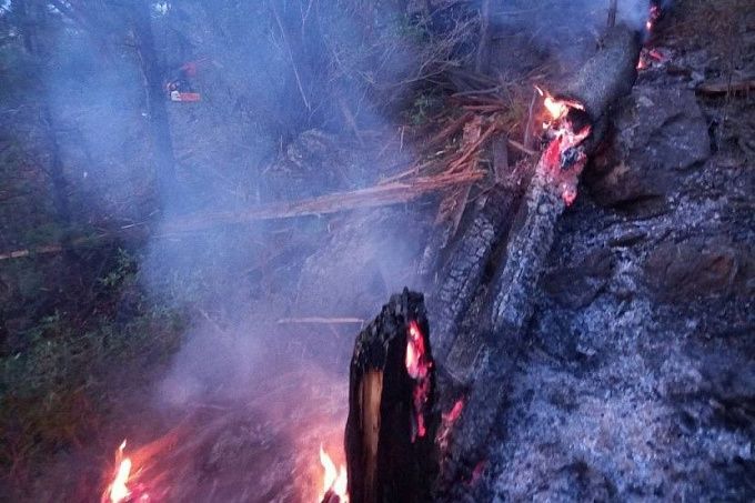 Сухая гроза вновь стала причиной лесного пожара в Бурятии