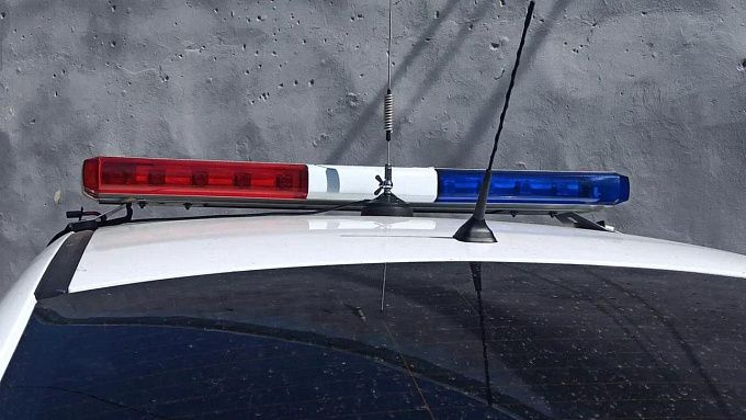 Машина сбила коня на трассе в Бурятии