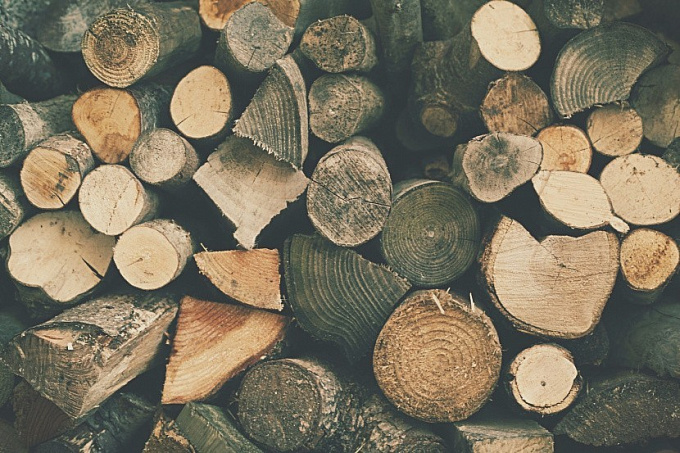 В Бурятии займутся проблемой повышения цен на дрова